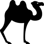 Camel 4