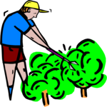 Gardening 7