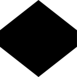 Polygon 13