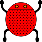 Insect 32