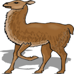 Llama 5