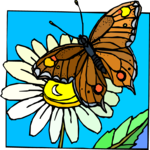 Butterfly 127