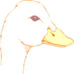 Duck 66