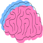 Brain 7