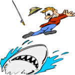 Shark Attack
