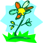 Daisy