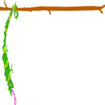 Chameleon Border