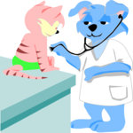 Doctor - Dog 1