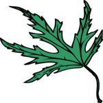 Leaf 091