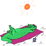 Alligator Sunbathing