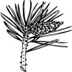 Leaf 031