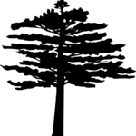 Tree 007