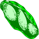 Pea Pod 4