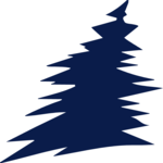 Tree 076