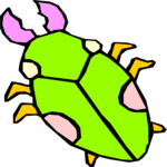 Bug 017