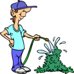 Watering Bush