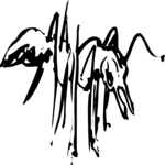 Ant