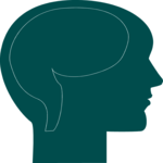 Human Brain