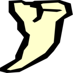 Tooth 15
