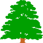 Tree 034