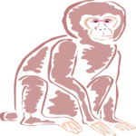 Monkey 05