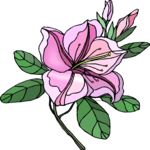 Flower 322