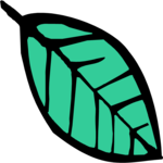 Leaf 017