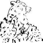 Bear 1
