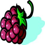 Raspberry 1