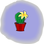 Cactus Flower