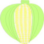 Corn 03