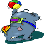 Circus - Elephant 08
