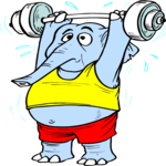 Weight Lifter - Elephant