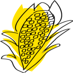 Corn 31
