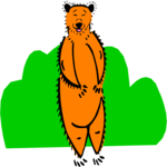 Bear 21