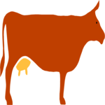 Cow 01