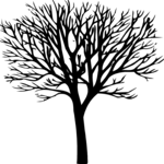 Tree 026