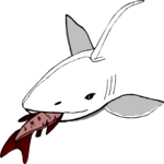Shark Eating Fish