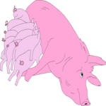 Pig Feeding Piglets 2