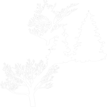 Trees 15