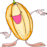 Melon
