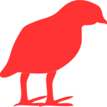 Bird 01