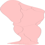 Leg - Anterior View