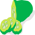 Cucumber 02
