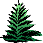 Tree 063