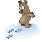 Bear - Confused