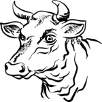 Bull 01