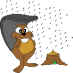 Beaver in Rain