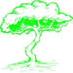 Tree 221