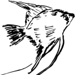 Fish 02